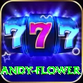 andy flower Pro v5.8.3