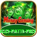 Bingo Patti VIP Gaming App