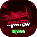 bn55 Pro1 v2.4.8