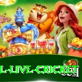 bpl live cricket Premium Slots