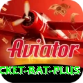 cricket bat - Deluxe v1.9.4