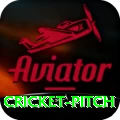 cricket pitch Master Jackpot