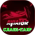 grass carp Gold Gaming App