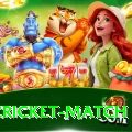 india cricket match Gaming King v4.0.6