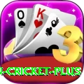 india pakistan cricket Slots Turbo v4.7.0