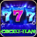 ireland cricket team - Elite v3.5.1
