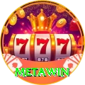 Metawin Pro Max v3.8.1