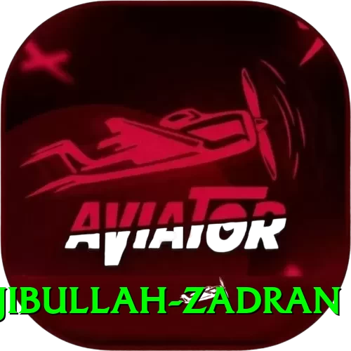 najibullah zadran Royal v1.7.7 - 2
