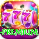 Pak Spin X Game Slot Machine Premium