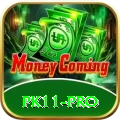 pk11 Slot Machine Elite
