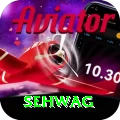 sehwag Casino Official v4.7.3