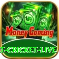 smart cricket live Mobile Champion