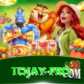 tojay Game VIP v3.4.1
