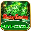 watch live cricket Extreme Gaming App